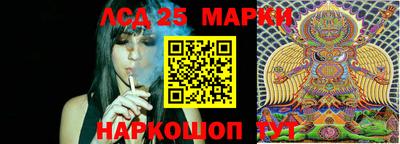 стафф Белореченск