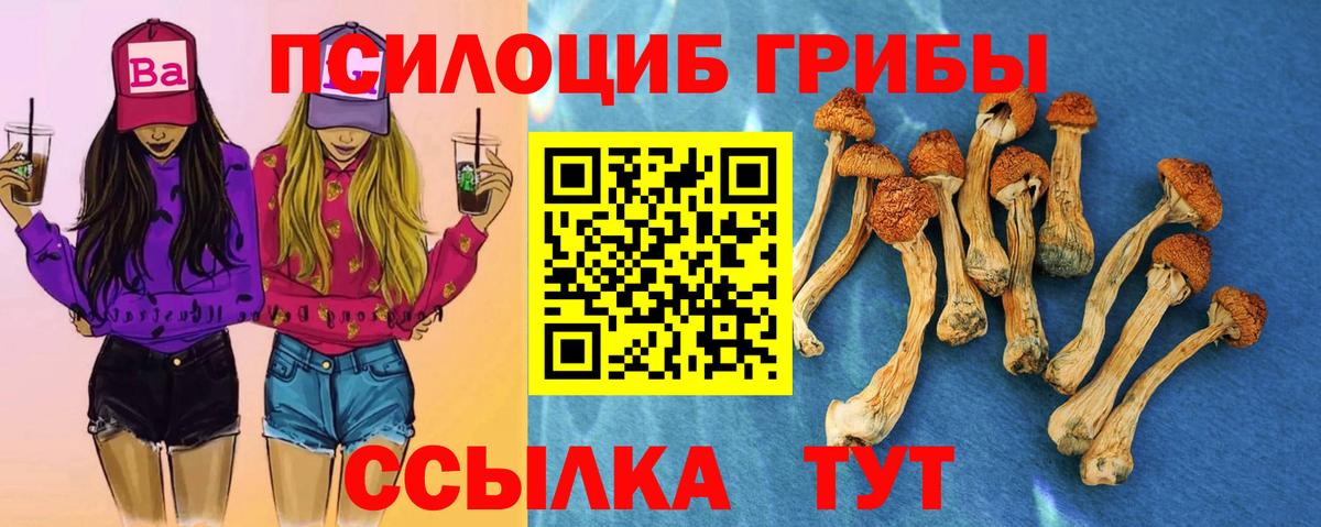 Галлюциногенные грибы прущие грибы Благодарный